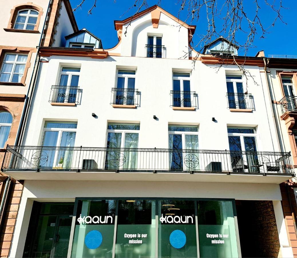Apartment Stadtpalais Am Schoental Aschaffenburg